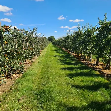 Отель Elb Blick 3*